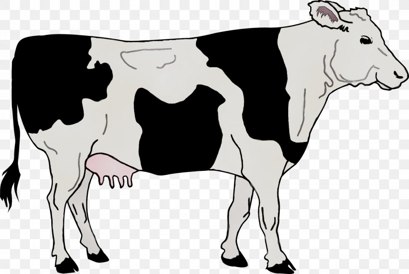 Angus Cattle Clip Art Calf Zebu, PNG, 2149x1443px, Angus Cattle, Art, Beef Cattle, Blackandwhite, Bovine Download Free