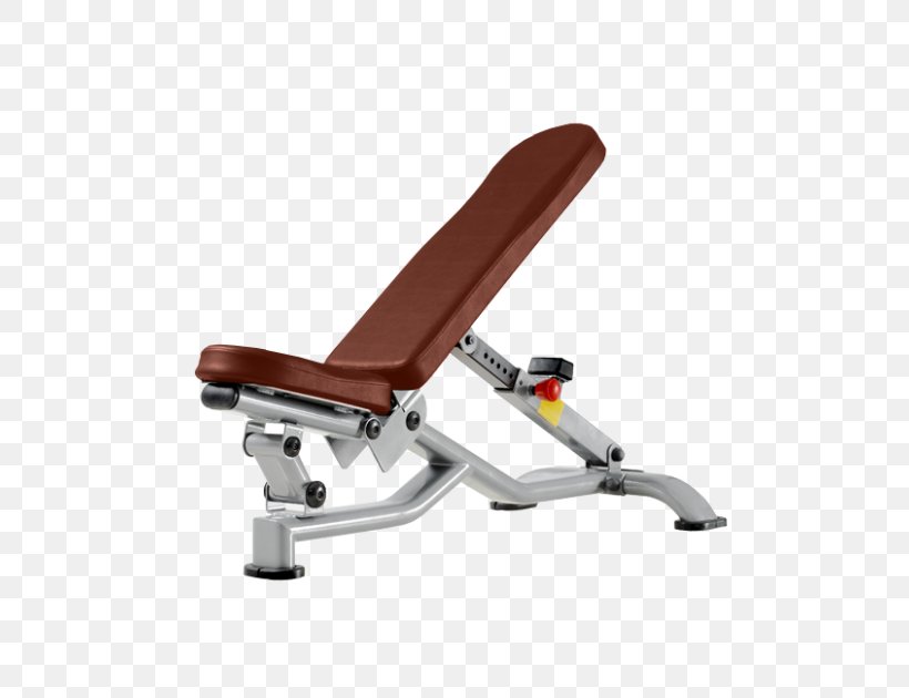 Bench Panca Scott Weightlifting Machine Dumbbell Physical Fitness, PNG, 538x630px, Bench, Dumbbell, Exercise, Exercise Equipment, Exercise Machine Download Free