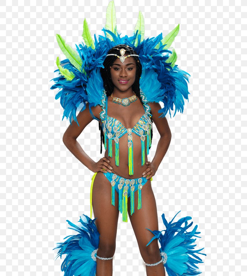 Carnival Feather Costume Boyshorts Tankini, PNG, 640x915px, Carnival, Boyshorts, Bra, Costume, Dancer Download Free