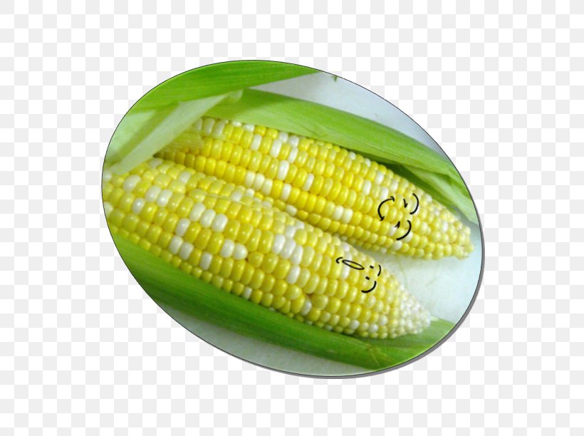 Corn On The Cob Commodity, PNG, 679x612px, Corn On The Cob, Commodity, Corn Kernels, Maize, Sweet Corn Download Free