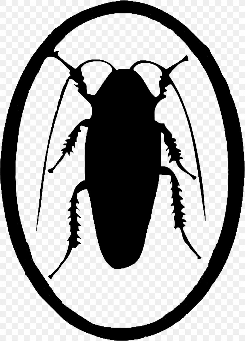 German Cockroach Insect Butterfly, PNG, 1090x1518px, Cockroach, Arthropod, Artwork, Beetle, Black And White Download Free