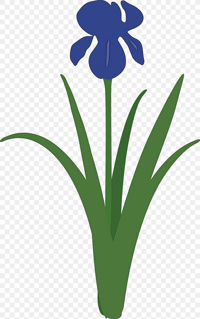 Iris Flower Spring Flower, PNG, 1881x3000px, Iris Flower, Flower, Iris, Iris Family, Logo Download Free