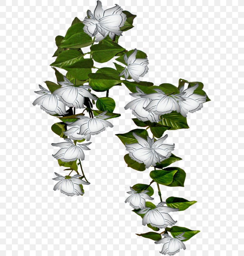 Petal Nursery Ivy Flower, PNG, 605x859px, Petal, Branch, Flora, Floral Design, Flower Download Free