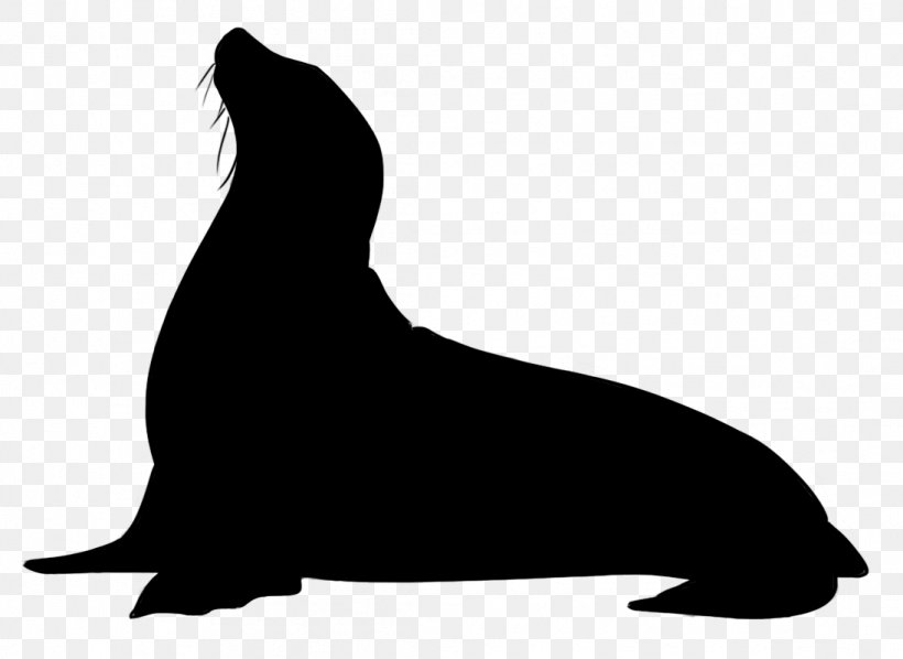 Sea Lion Dog Mammal Black & White, PNG, 1095x799px, Sea Lion, Beak, Black M, Black White M, California Sea Lion Download Free