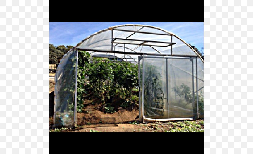 Shade Canopy Greenhouse Shed, PNG, 500x500px, Shade, Arch, Canopy, Greenhouse, Outdoor Structure Download Free