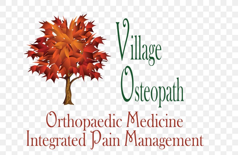 Village Osteopath Doctor Of Osteopathic Medicine Health Physician, PNG, 691x533px, Medicine, Board Certification, Brand, Doctor Of Osteopathic Medicine, Health Download Free