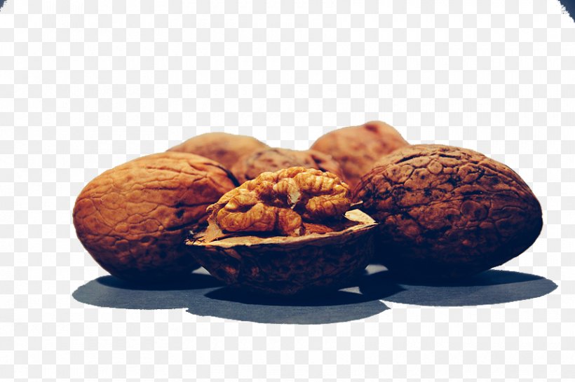Walnut Download Stock Photography, PNG, 860x572px, Walnut, Computer Software, Food, Hickory, Nut Download Free