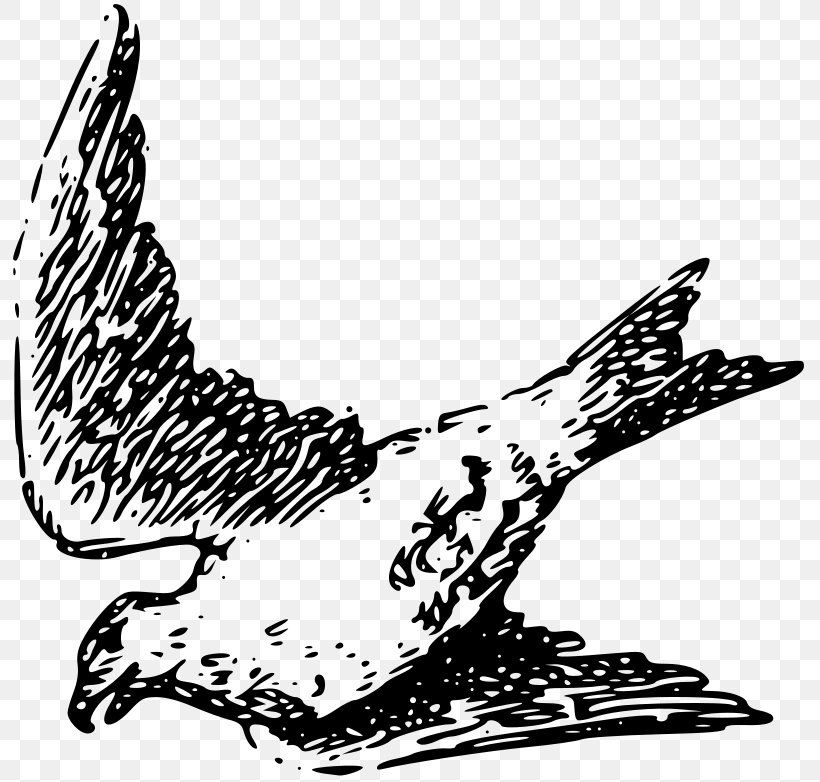 Bird Flight Chicken Clip Art, PNG, 800x782px, Bird, Art, Beak, Bird Flight, Bird Of Prey Download Free