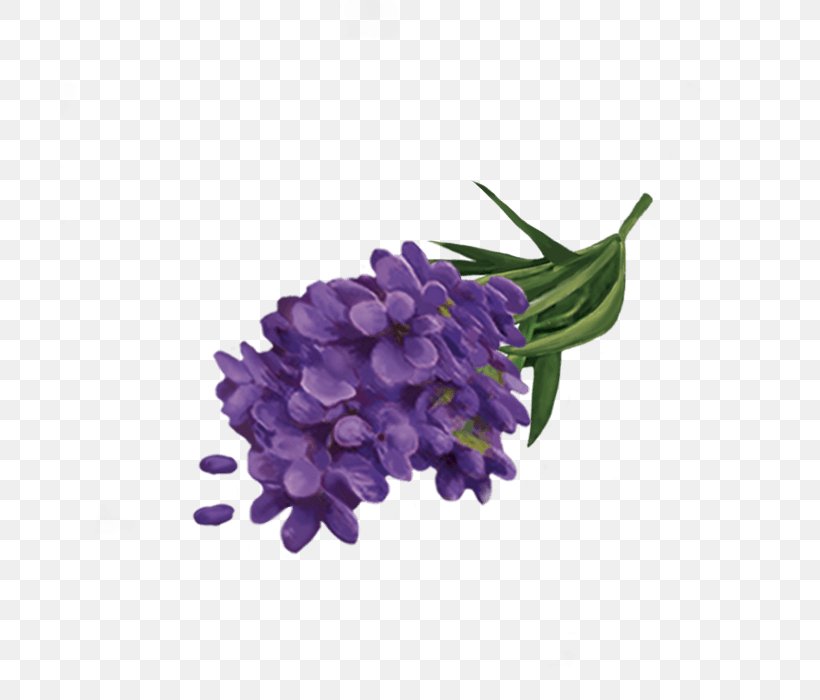 Yogi Tea Lavender Cut Flowers Energy, PNG, 700x700px, Tea, Cut Flowers, Ekoplaza, Energy, Flower Download Free