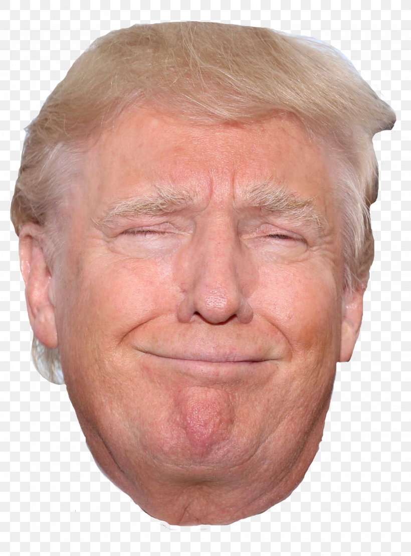 Donald Trump United States Republican Party Face Mask, PNG, 1846x2496px, Donald Trump, Cheek, Chin, Close Up, Ear Download Free