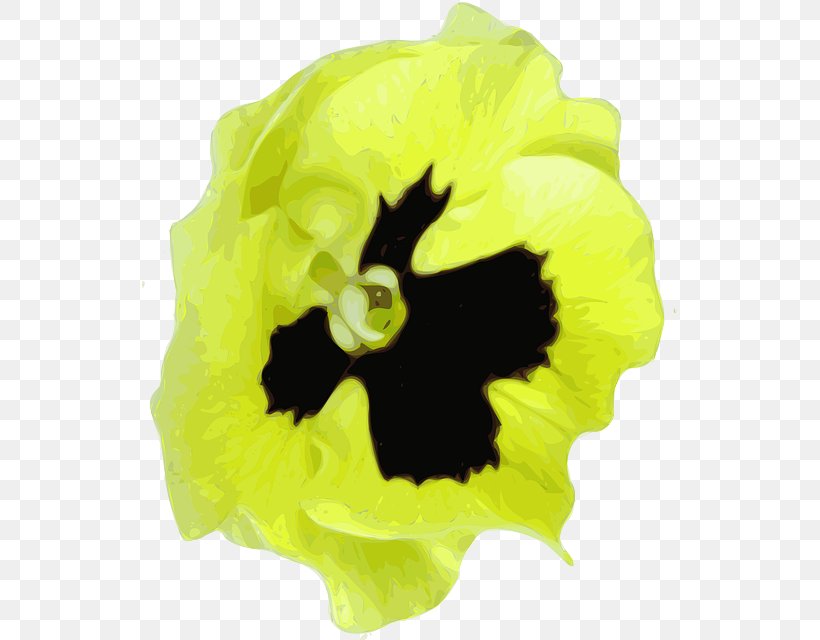 Pansy Clip Art Flower Plants, PNG, 535x640px, Pansy, Art, California Golden Violet, Flower, Flowering Plant Download Free