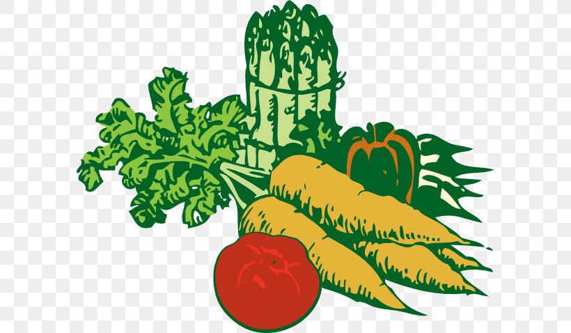Vegetable Fruit Clip Art, PNG, 600x478px, Vegetable, Bell Pepper, Carrot, Flowering Plant, Food Download Free