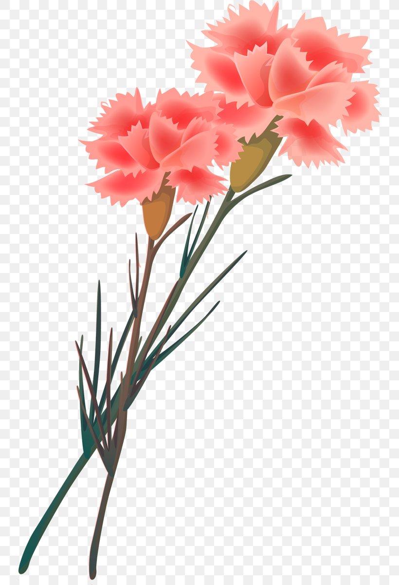 Cut Flowers Carnation Painting Floral Design, PNG, 752x1200px, Flower, Carnation, Cut Flowers, Dianthus, Flora Download Free