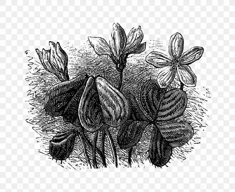 Drawing Flowering Plant /m/02csf Tree, PNG, 1600x1308px, Drawing, Artwork, Black And White, Flora, Flower Download Free