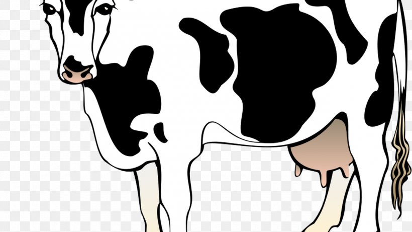 Holstein Friesian Cattle Beef Cattle Hereford Cattle Angus Cattle Clip Art, PNG, 1280x720px, Watercolor, Cartoon, Flower, Frame, Heart Download Free