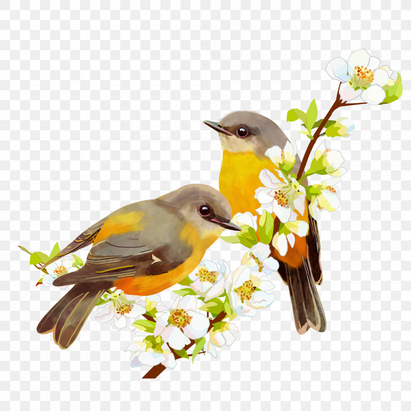 Bird Branch Songbird Beak Yellow Breasted Chat, PNG, 2000x2000px, Bird, Atlantic Canary, Beak, Branch, Finch Download Free