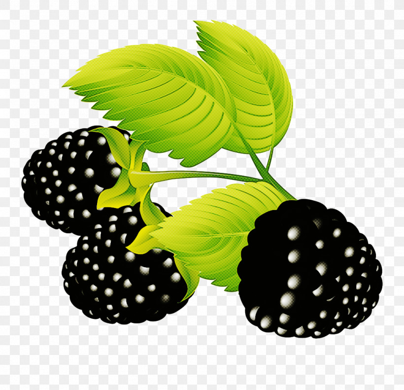 Blackberry Berry Green Leaf Plant, PNG, 1024x988px, Blackberry, Accessory Fruit, Berry, Fruit, Frutti Di Bosco Download Free