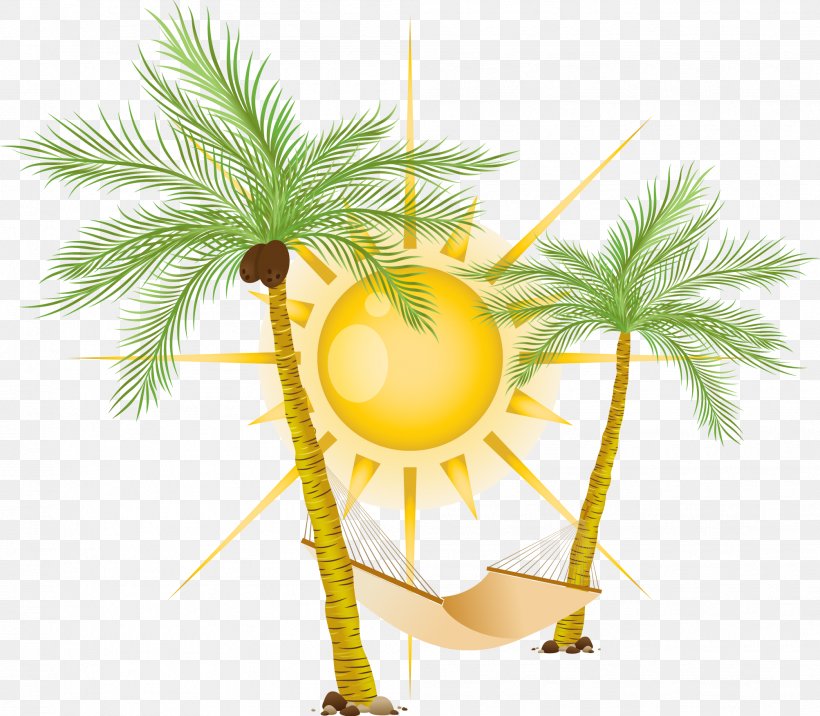 Coco Hammock Vector Sun, PNG, 2006x1753px, Afternoon, Boyfriend, Branch, Coconut, Day Download Free