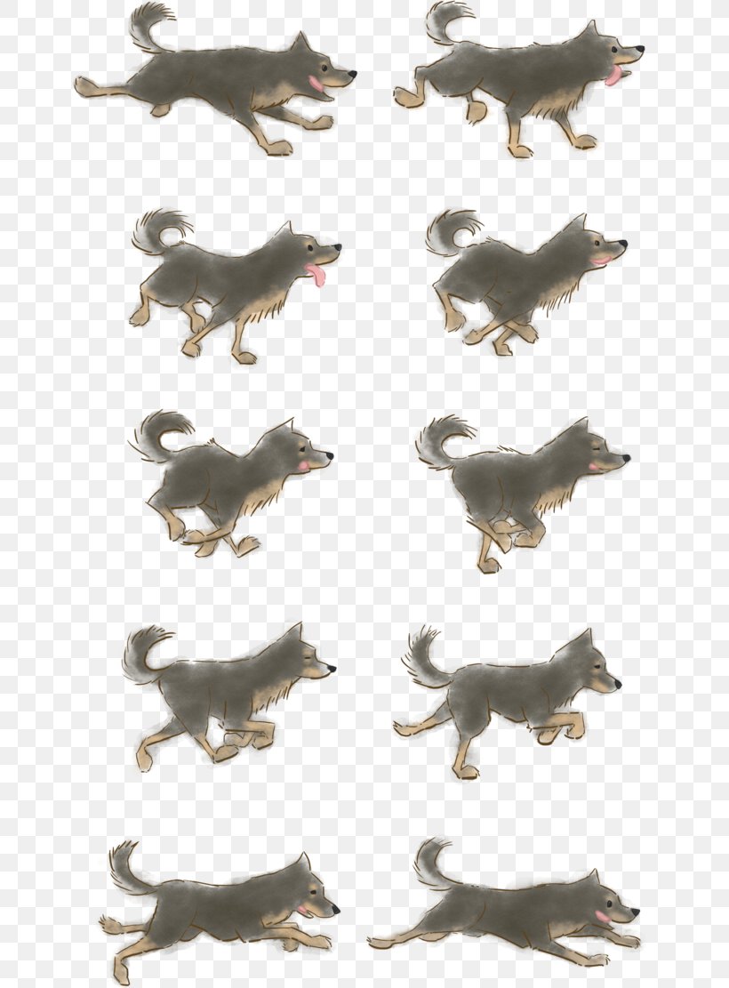 Dogo Argentino Border Collie Pointer Dog Park Animation, PNG, 719x1111px, Dogo Argentino, Animation, Border Collie, Carnivoran, Cat Like Mammal Download Free