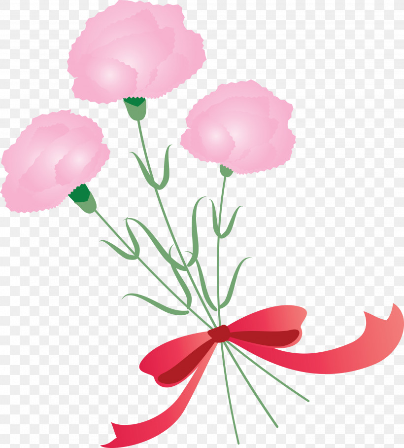 Mothers Day Carnation Mothers Day Flower, PNG, 2708x3000px, Mothers Day Carnation, Cut Flowers, Flower, Geranium, Mothers Day Flower Download Free