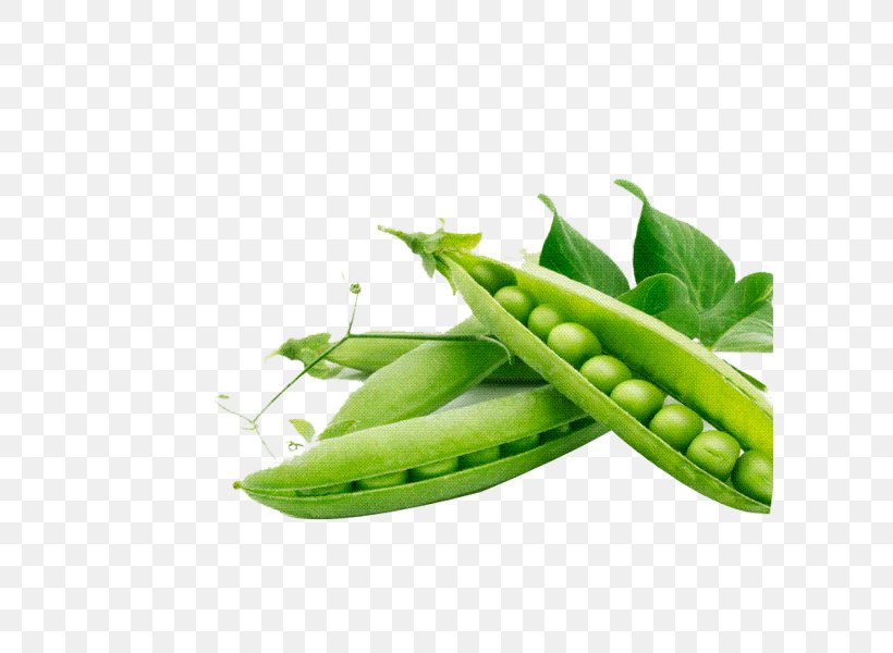 Snap Pea Food Legume, PNG, 600x600px, Pea, Bean, Dietary Fiber, Food, Fruit Download Free
