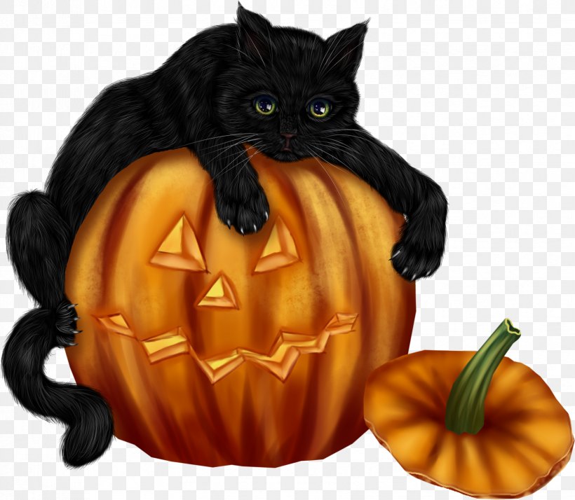 Halloween Jack-o'-lantern Whiskers Clip Art Black Cat, PNG, 1652x1440px, Halloween, Black Cat, Calabaza, Carnivoran, Cat Download Free