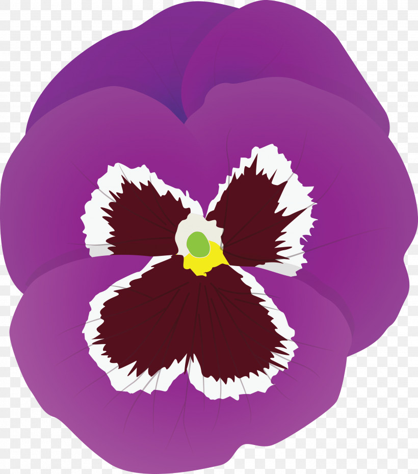 PANSY Spring Flower, PNG, 2643x3000px, Pansy, Cattleya, Flower, Iris, Magenta Download Free