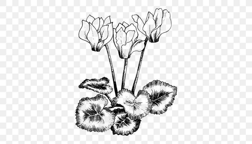Drawing Vector Graphics Illustration Royalty-free Stock Photography, PNG, 600x470px, Drawing, Blackandwhite, Botany, Coloring Book, Cut Flowers Download Free
