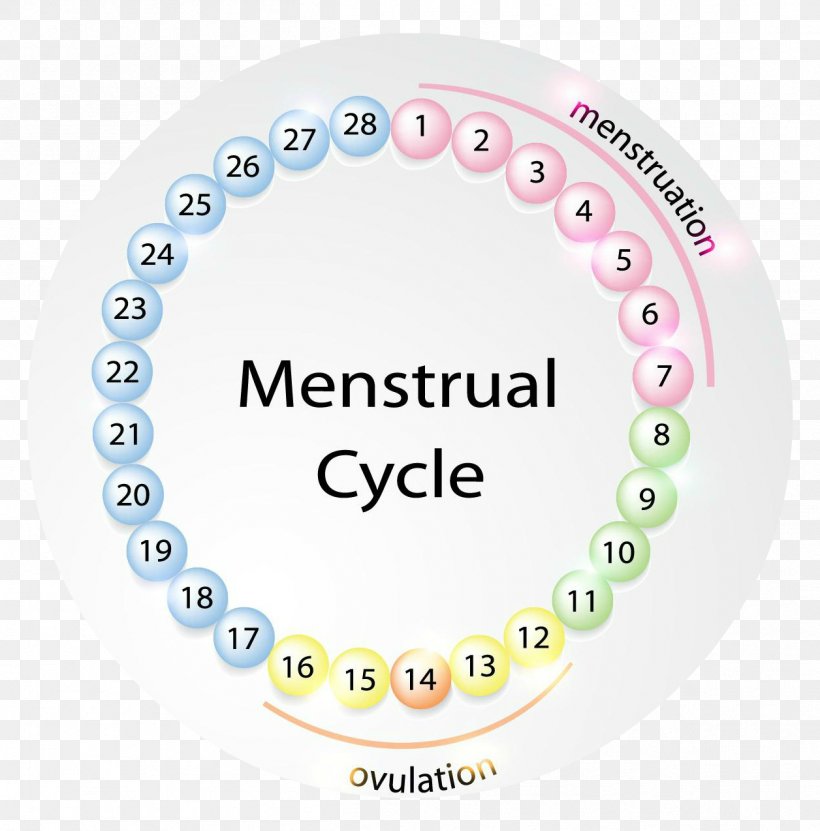 Menstruation Menstrual Cycle Fertility Menstrual Cup Woman, PNG, 1256x1274px, Watercolor, Cartoon, Flower, Frame, Heart Download Free