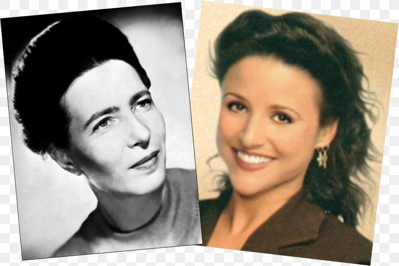 Simone De Beauvoir Julia Louis-Dreyfus Seinfeld Susan Ross Philosopher, PNG, 1434x957px, Watercolor, Cartoon, Flower, Frame, Heart Download Free