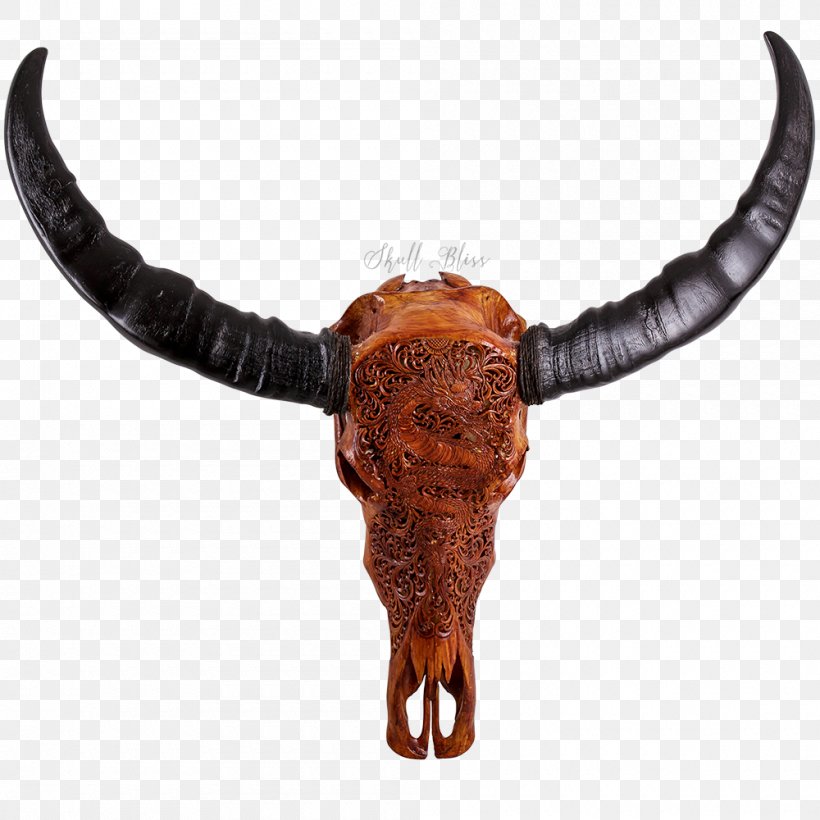 Texas Longhorn Water Buffalo Skull English Longhorn, PNG, 1000x1000px, Texas Longhorn, American Bison, Antique, Cattle, Cattle Like Mammal Download Free