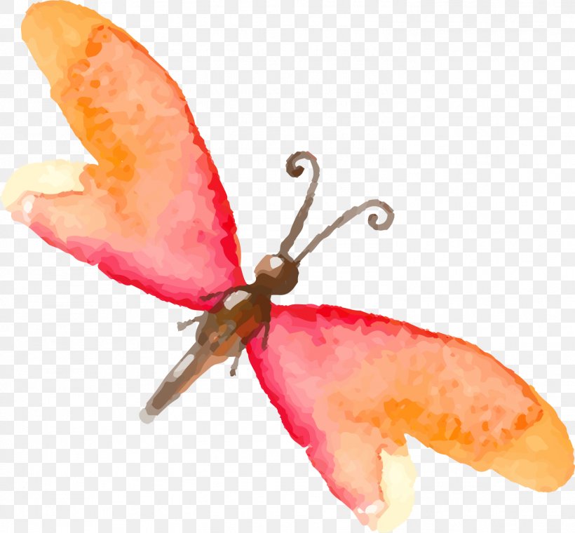 Butterfly Insect Watercolor Painting Drawing, PNG, 1501x1392px, Butterfly, Butterflies And Moths, Drawing, Food, Fruit Download Free