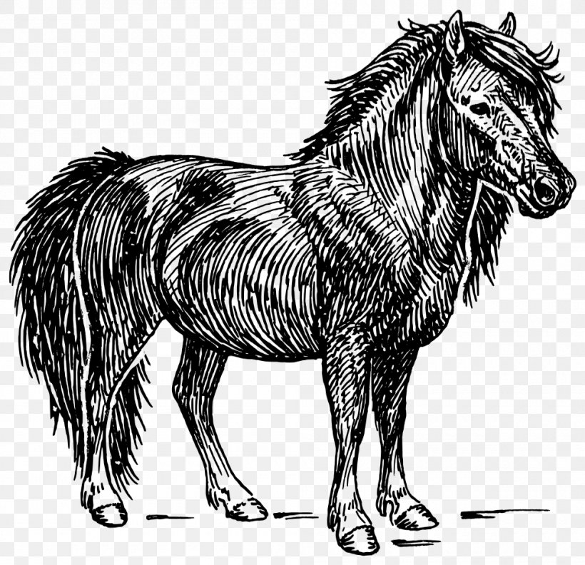Shetland Pony American Miniature Horse Clip Art, PNG, 1000x966px, Shetland Pony, American Miniature Horse, Black, Black And White, Bridle Download Free