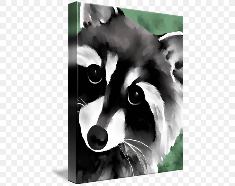 The Raccoon Watercolor Painting Art, PNG, 470x650px, Raccoon, Art, Black And White, Blanket, Canvas Download Free