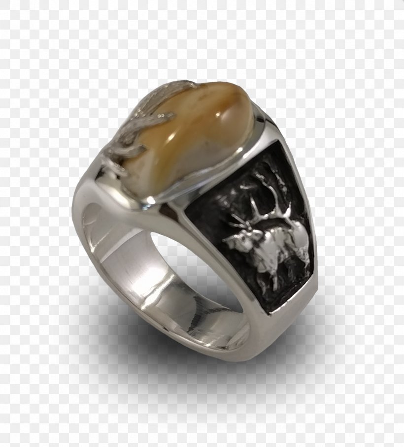 Wedding Ring Elk Jewellery Ivory, PNG, 1273x1411px, Ring, Body Jewelry, Bracelet, Bride, Diamond Download Free