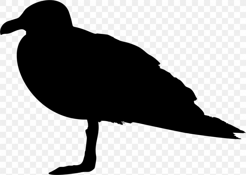 Beak Clip Art Silhouette Fauna, PNG, 2278x1624px, Beak, Bird, Blackbird, Crow, Crowlike Bird Download Free