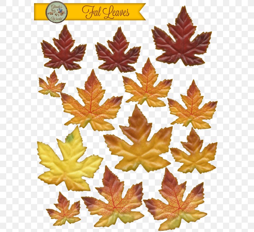 Blog Maple Leaf Photography, PNG, 600x750px, Blog, Basque Country, Drawing, Leaf, Maple Download Free
