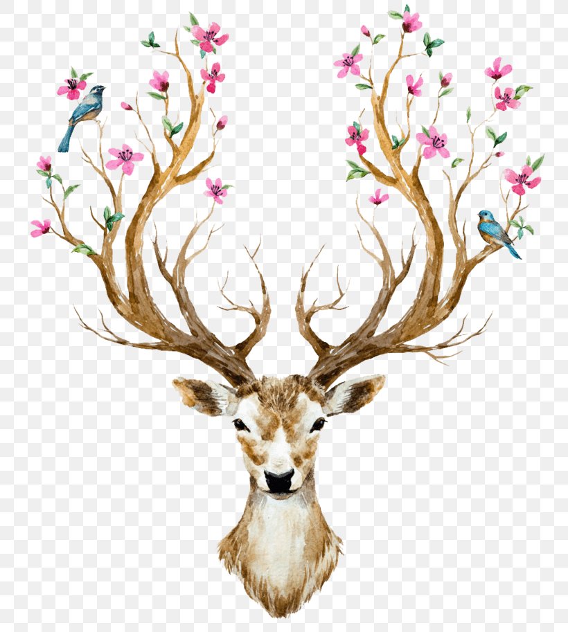 Deer Antler Wall Decal Horn Flower, PNG, 803x913px, Deer, Antler, Branch, Decal, Drawing Download Free
