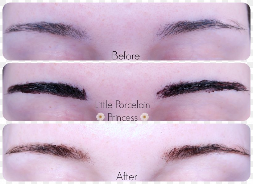 Eyebrow Eyelash Cosmetics Color, PNG, 1600x1162px, Eyebrow, Brown, Color, Cosmetics, Etude House Download Free