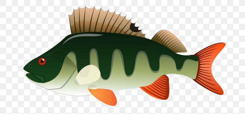 Northern Pike Yellow Perch Clip Art, PNG, 756x383px, Northern Pike, Animal Figure, Bony Fish, Fauna, Fish Download Free