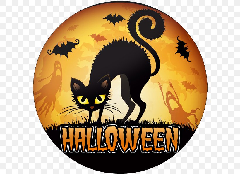 Black Cat Halloween Kitten Costume, PNG, 600x597px, Cat, Black Cat, Carnivoran, Cat Like Mammal, Costume Download Free