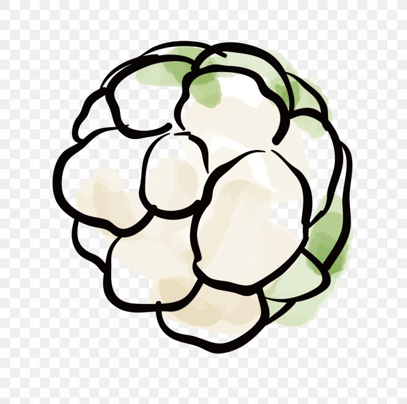 Cauliflower Vegetable Hwachae, PNG, 1113x1104px, Cauliflower, Area, Ball, Brassica Oleracea, Flat Design Download Free