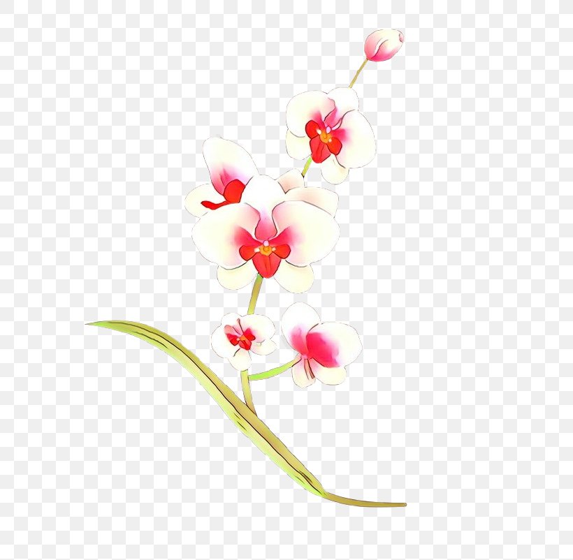 Flowering Plant Flower Plant Pedicel Pink, PNG, 802x802px, Cartoon, Cut Flowers, Flower, Flowering Plant, Moth Orchid Download Free