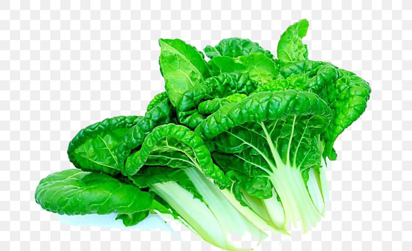 Romaine Lettuce Leftovers Vegetable Wok Home Appliance, PNG, 1024x625px, Romaine Lettuce, Chard, Cooking, Food, Herb Download Free