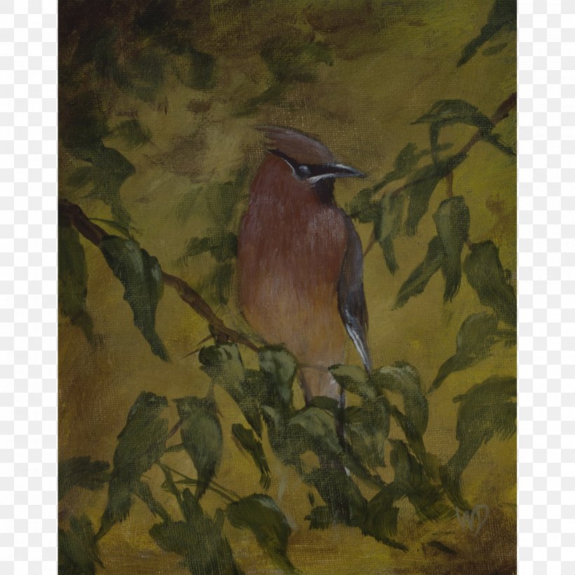 Watercolor Painting Cedar Waxwing Beak Art Museum, PNG, 2000x2000px, Painting, Art Museum, Beak, Bird, Branch Download Free