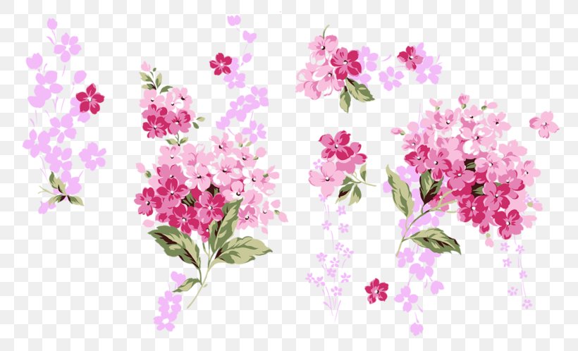 Flower Clip Art, PNG, 800x498px, Flower, Blossom, Branch, Cherry Blossom, Flora Download Free