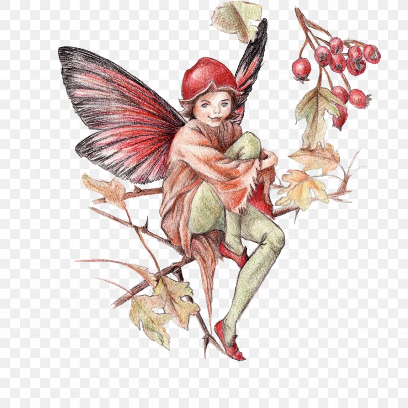 Flower Fairies Fairy Illustration, PNG, 897x897px, Watercolor, Cartoon, Flower, Frame, Heart Download Free