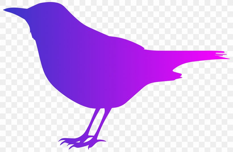 Bird Crows Silhouette Clip Art, PNG, 2500x1637px, Bird, Artwork, Beak, Blackbird, Common Blackbird Download Free