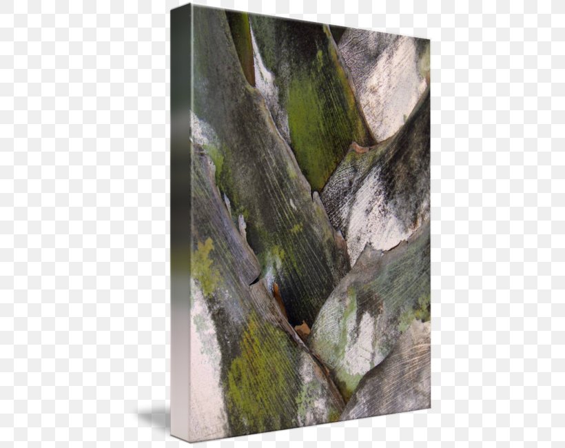 Wood /m/083vt Leaf, PNG, 443x650px, Wood, Grass, Leaf, Plant, Rock Download Free