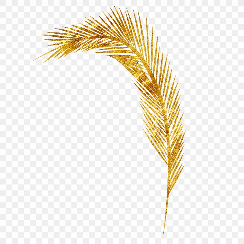 Yellow Commodity Grasses Family Pattern, PNG, 3000x3000px, Yellow, Commodity, Family, Feather, Grass Family Download Free